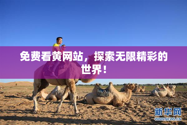 免费看黄网站，探索无限精彩的世界！