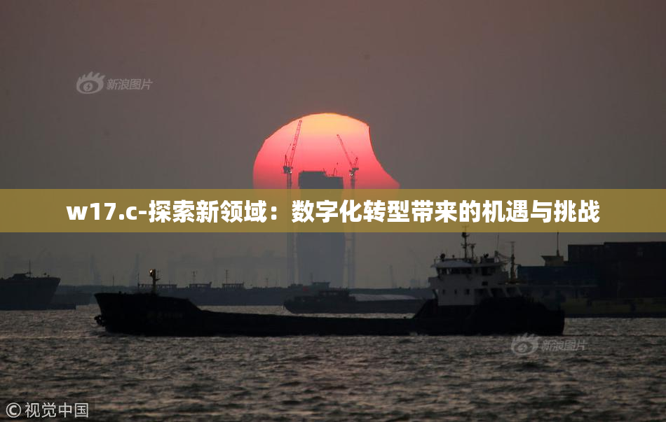 w17.c-探索新领域：数字化转型带来的机遇与挑战
