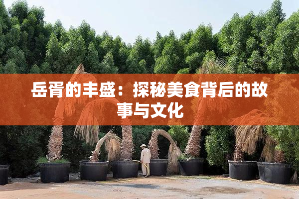 岳胥的丰盛：探秘美食背后的故事与文化