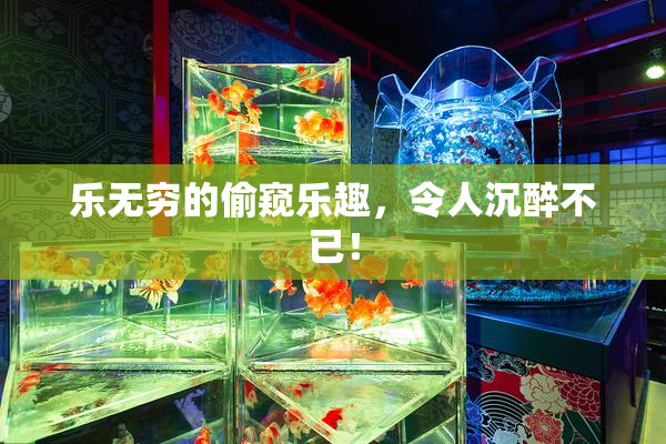 乐无穷的偷窥乐趣，令人沉醉不已！