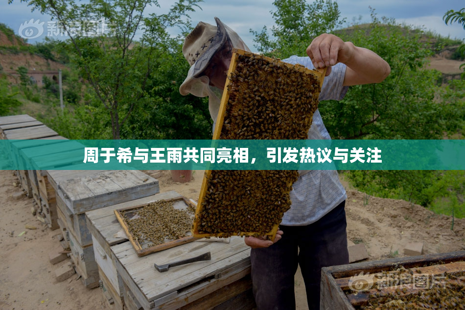 周于希与王雨共同亮相，引发热议与关注
