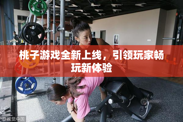 桃子游戏全新上线，引领玩家畅玩新体验