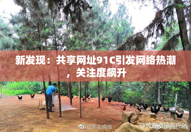 新发现：共享网址91C引发网络热潮，关注度飙升