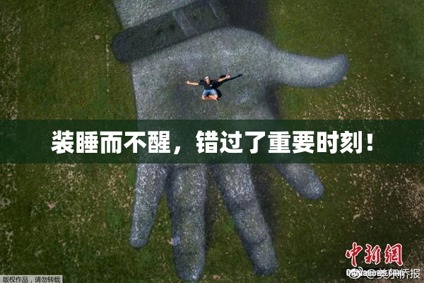 装睡而不醒，错过了重要时刻！
