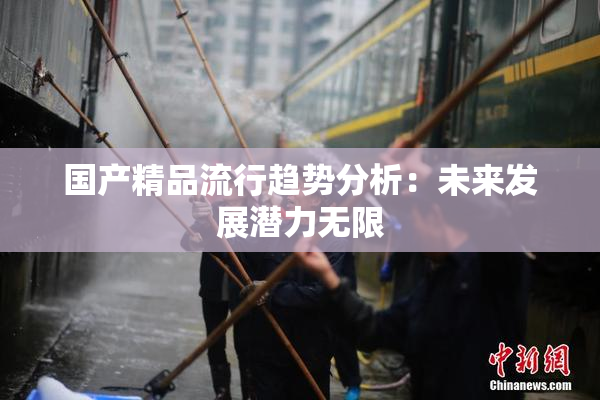 国产精品流行趋势分析：未来发展潜力无限