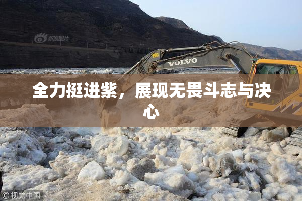 全力挺进紫，展现无畏斗志与决心