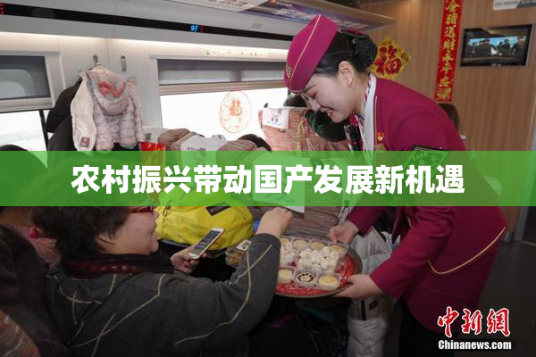 农村振兴带动国产发展新机遇