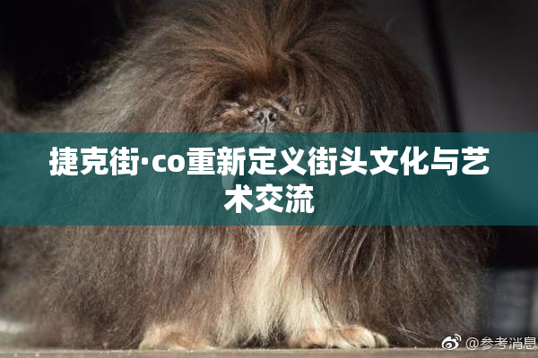 捷克街·co重新定义街头文化与艺术交流