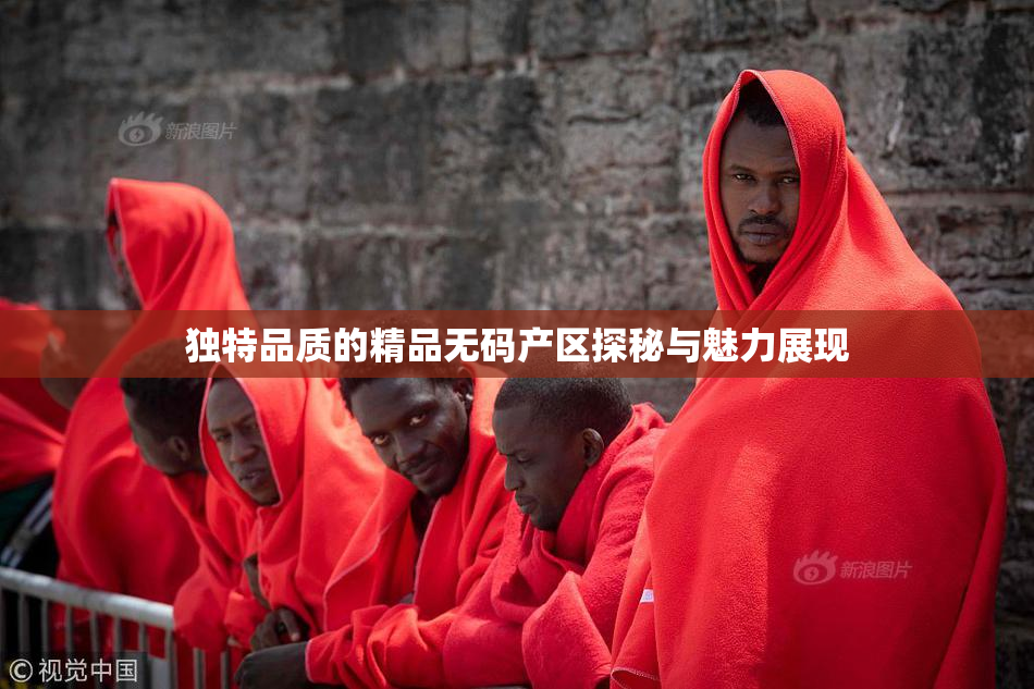 独特品质的精品无码产区探秘与魅力展现