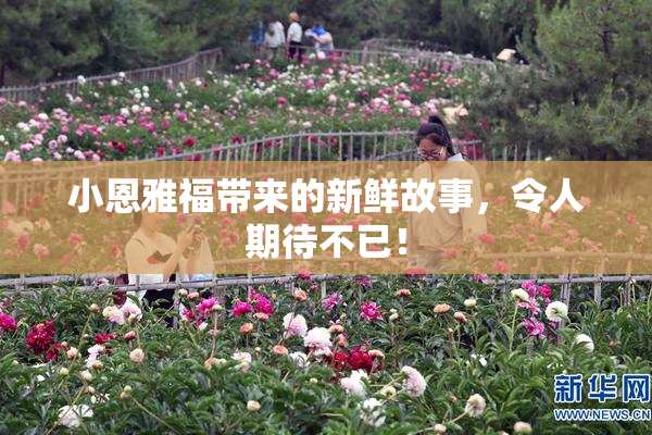 小恩雅福带来的新鲜故事，令人期待不已！