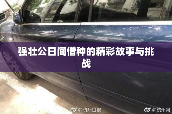 强壮公日间借种的精彩故事与挑战
