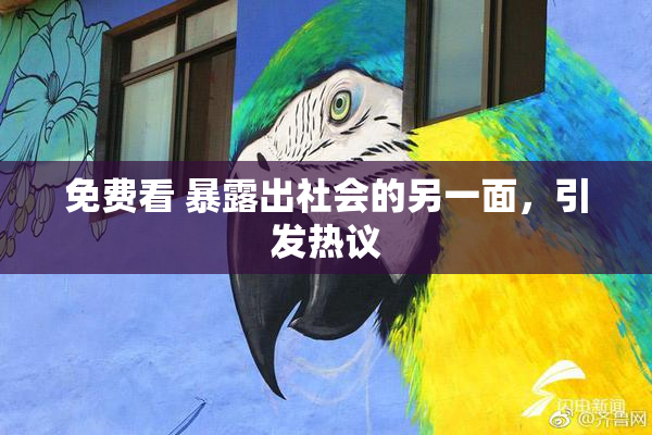 免费看 暴露出社会的另一面，引发热议