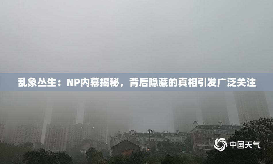 乱象丛生：NP内幕揭秘，背后隐藏的真相引发广泛关注