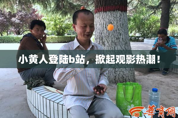 小黄人登陆b站，掀起观影热潮！