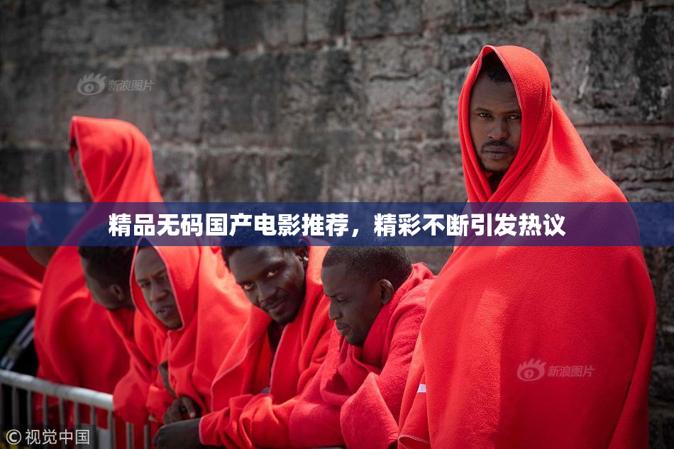 精品无码国产电影推荐，精彩不断引发热议