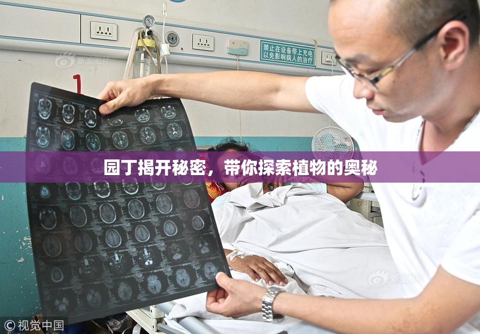 园丁揭开秘密，带你探索植物的奥秘