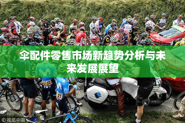 伞配件零售市场新趋势分析与未来发展展望