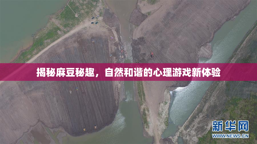 揭秘麻豆秘趣，自然和谐的心理游戏新体验
