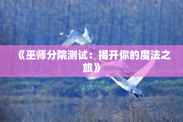 《巫师分院测试：揭开你的魔法之旅》