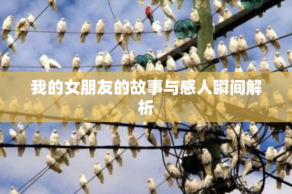 我的女朋友的故事与感人瞬间解析