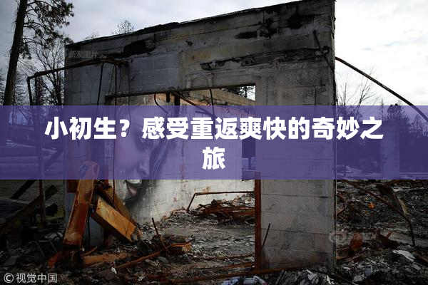 小初生？感受重返爽快的奇妙之旅