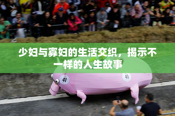 少妇与寡妇的生活交织，揭示不一样的人生故事