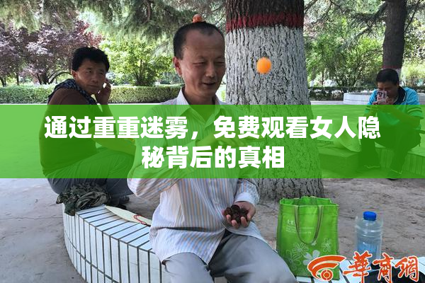 通过重重迷雾，免费观看女人隐秘背后的真相