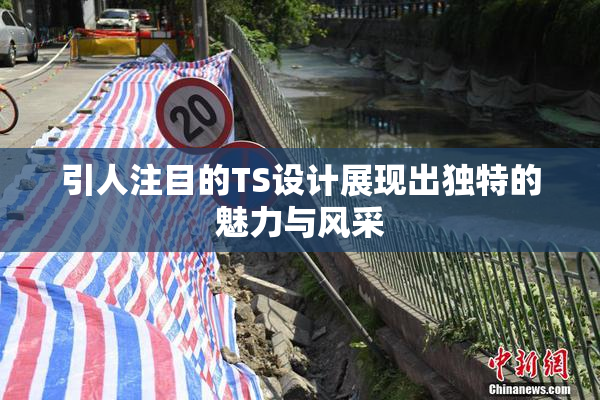 引人注目的TS设计展现出独特的魅力与风采