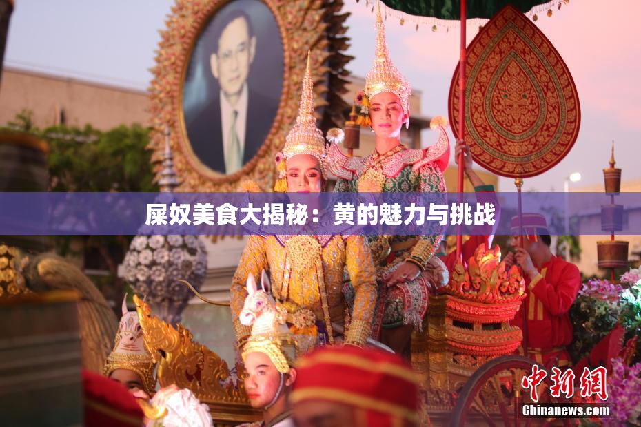 屎奴美食大揭秘：黄的魅力与挑战