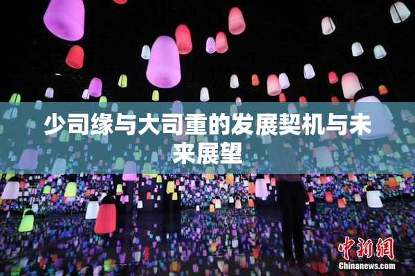 少司缘与大司重的发展契机与未来展望