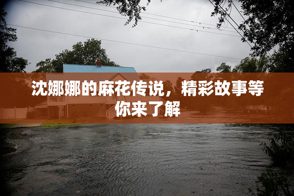 沈娜娜的麻花传说，精彩故事等你来了解