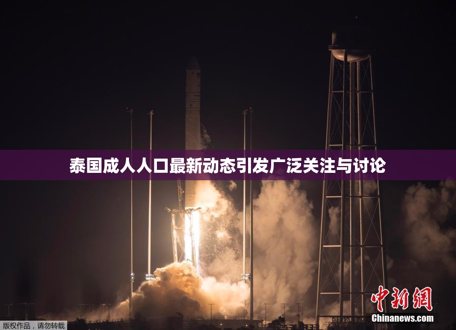 泰国成人人口最新动态引发广泛关注与讨论