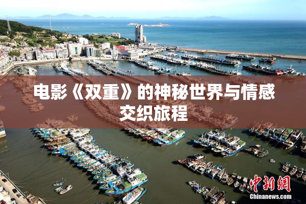 电影《双重》的神秘世界与情感交织旅程