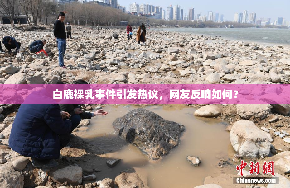 白鹿裸乳事件引发热议，网友反响如何？