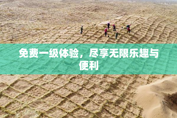 免费一级体验，尽享无限乐趣与便利