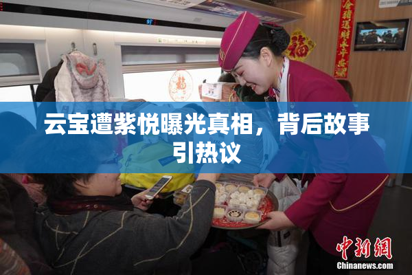 云宝遭紫悦曝光真相，背后故事引热议
