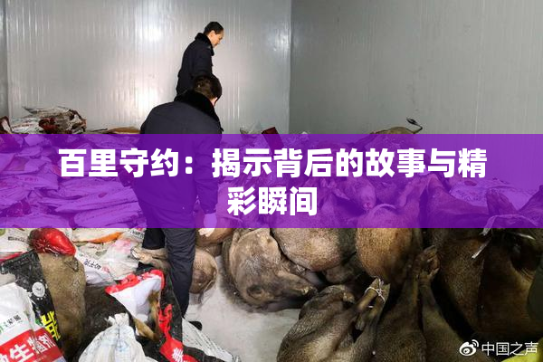 百里守约：揭示背后的故事与精彩瞬间