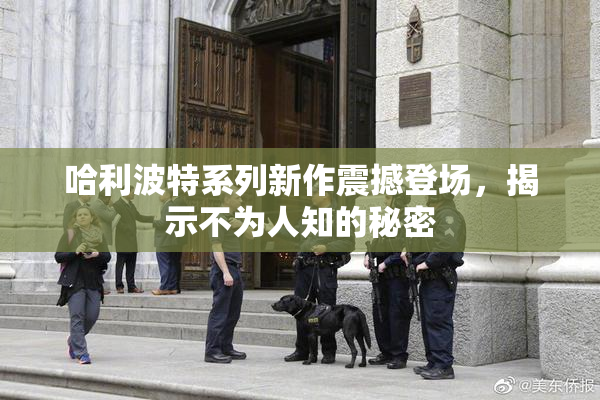 哈利波特系列新作震撼登场，揭示不为人知的秘密