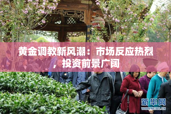 黄金调教新风潮：市场反应热烈，投资前景广阔