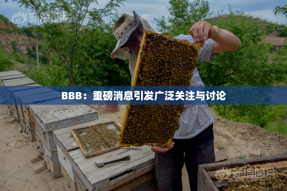 BBB：重磅消息引发广泛关注与讨论