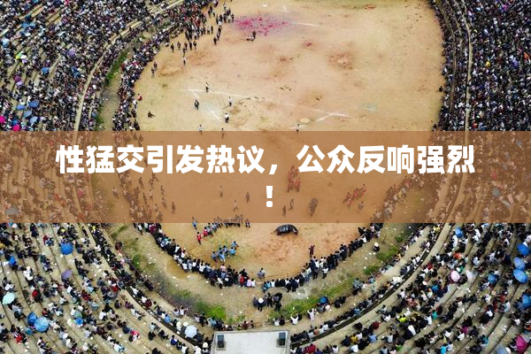 性猛交引发热议，公众反响强烈！