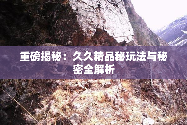 重磅揭秘：久久精品秘玩法与秘密全解析