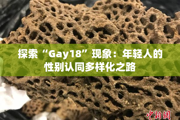 探索“Gay18”现象：年轻人的性别认同多样化之路