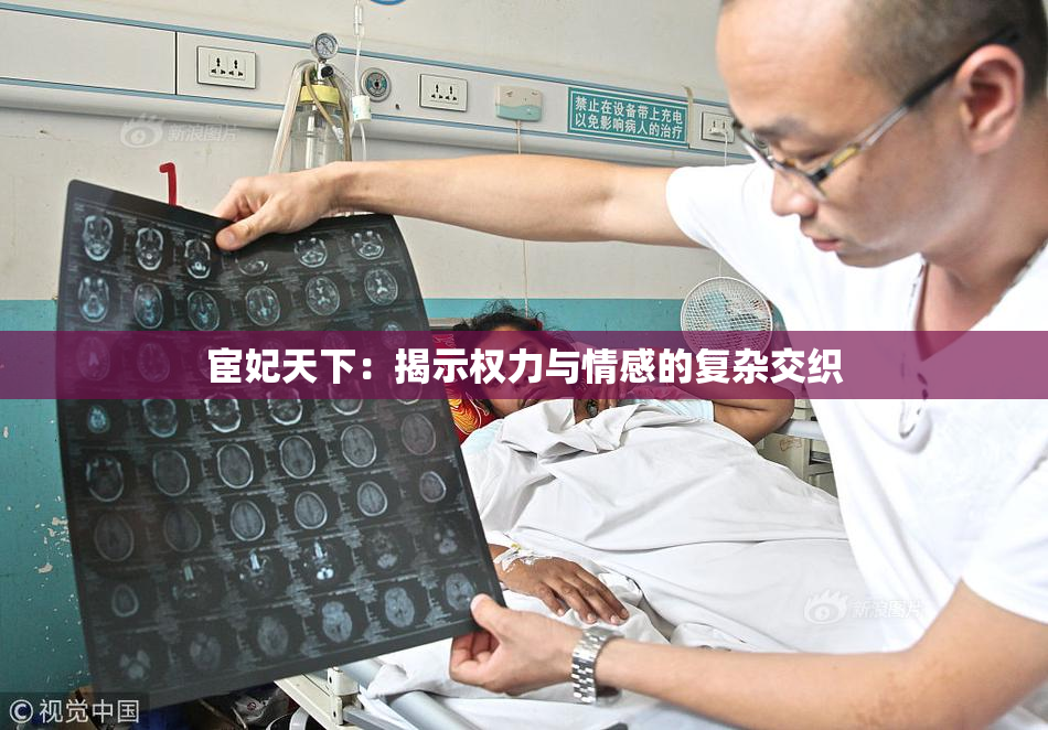 宦妃天下：揭示权力与情感的复杂交织