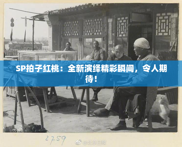 SP拍子红桃：全新演绎精彩瞬间，令人期待！