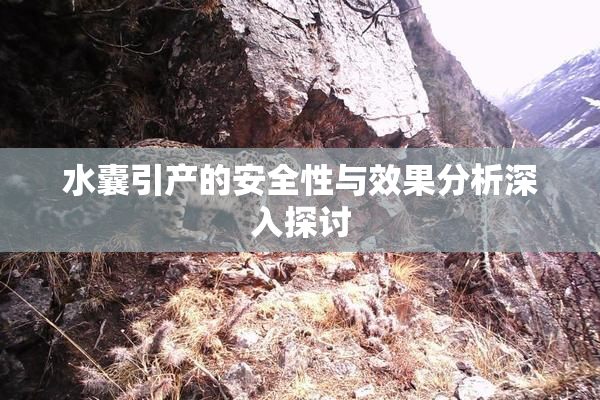 水囊引产的安全性与效果分析深入探讨
