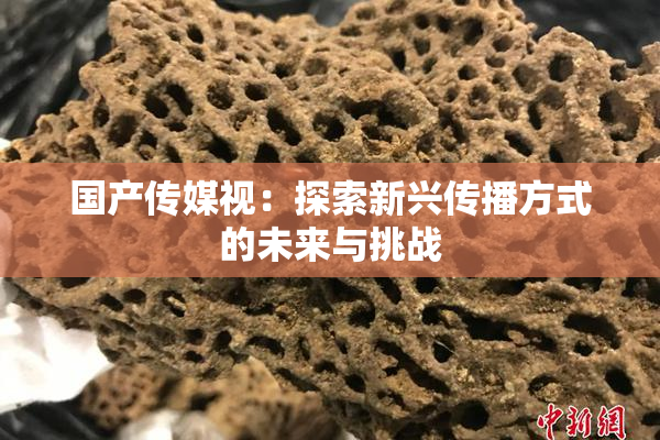 国产传媒视：探索新兴传播方式的未来与挑战