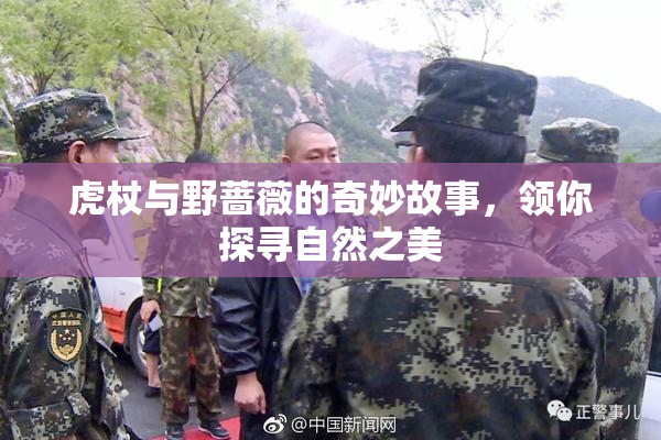 虎杖与野蔷薇的奇妙故事，领你探寻自然之美