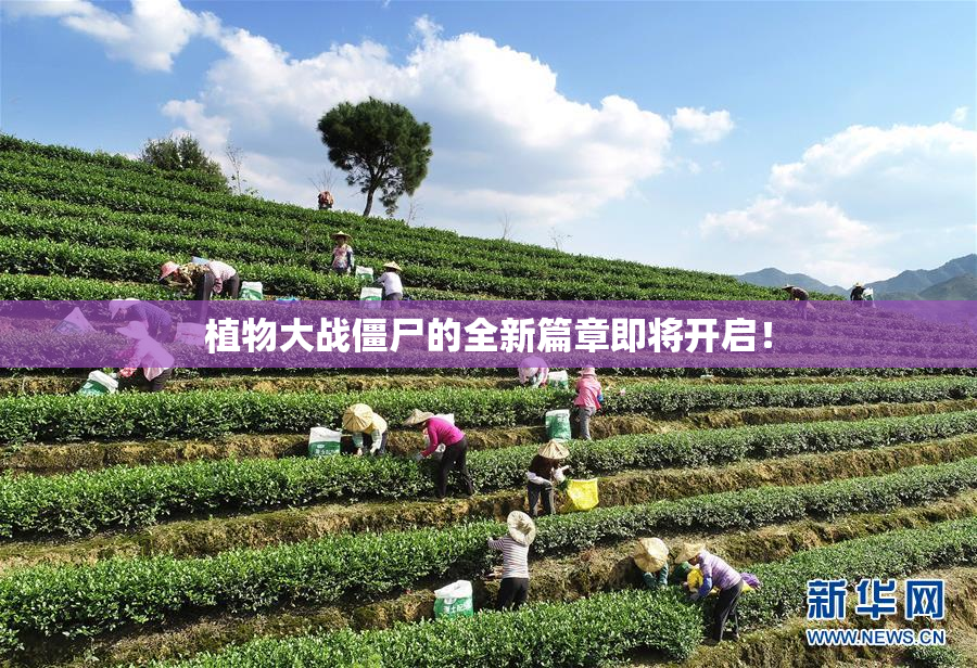 植物大战僵尸的全新篇章即将开启！