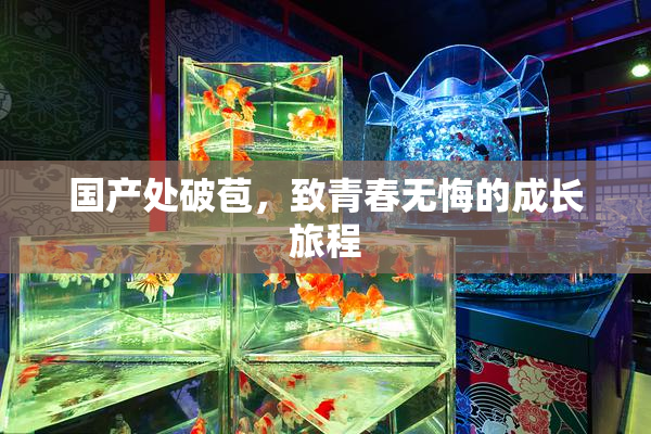 国产处破苞，致青春无悔的成长旅程
